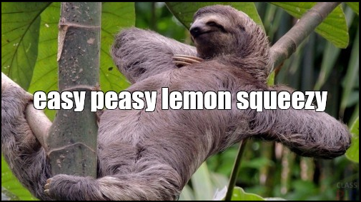 An image of a sloth lying on a tree branch with the text 'Easy peasy lemon squeezy'.