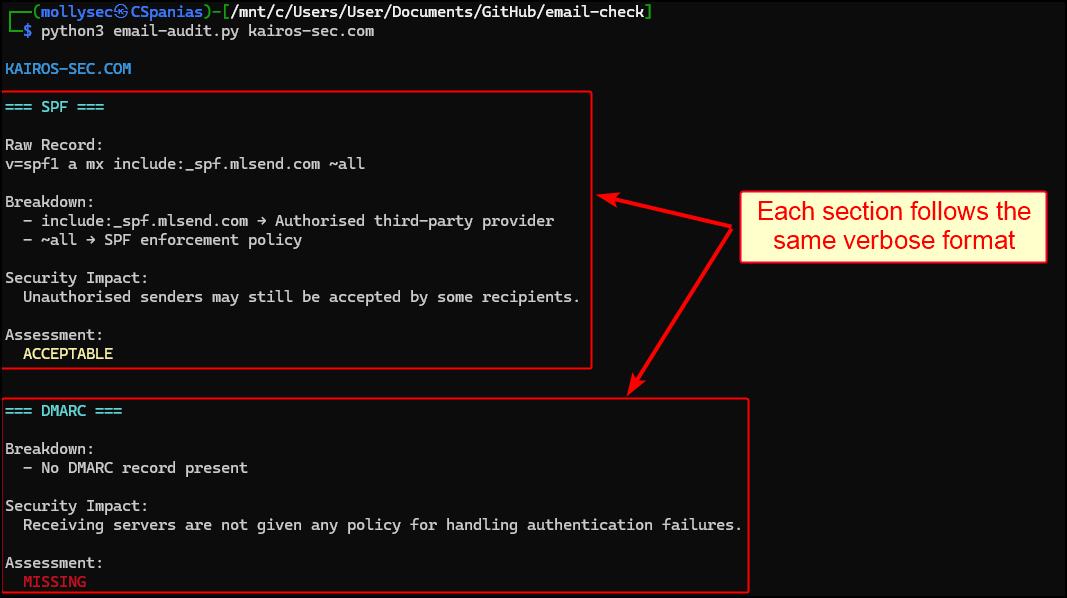 Performing DNS-based analysis with email-audit.