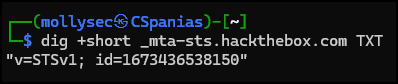 Querying the MTA-STS record of the hackthebox.com domain.